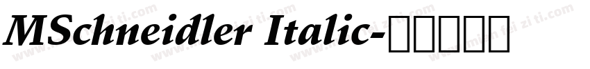 MSchneidler Italic字体转换